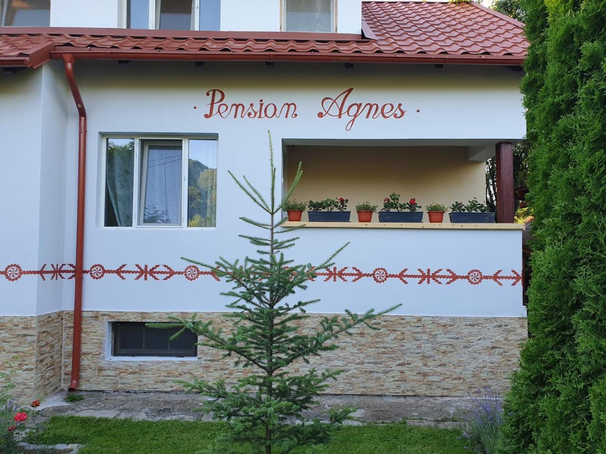 Pension Agnes Vişeu de Sus المظهر الخارجي الصورة